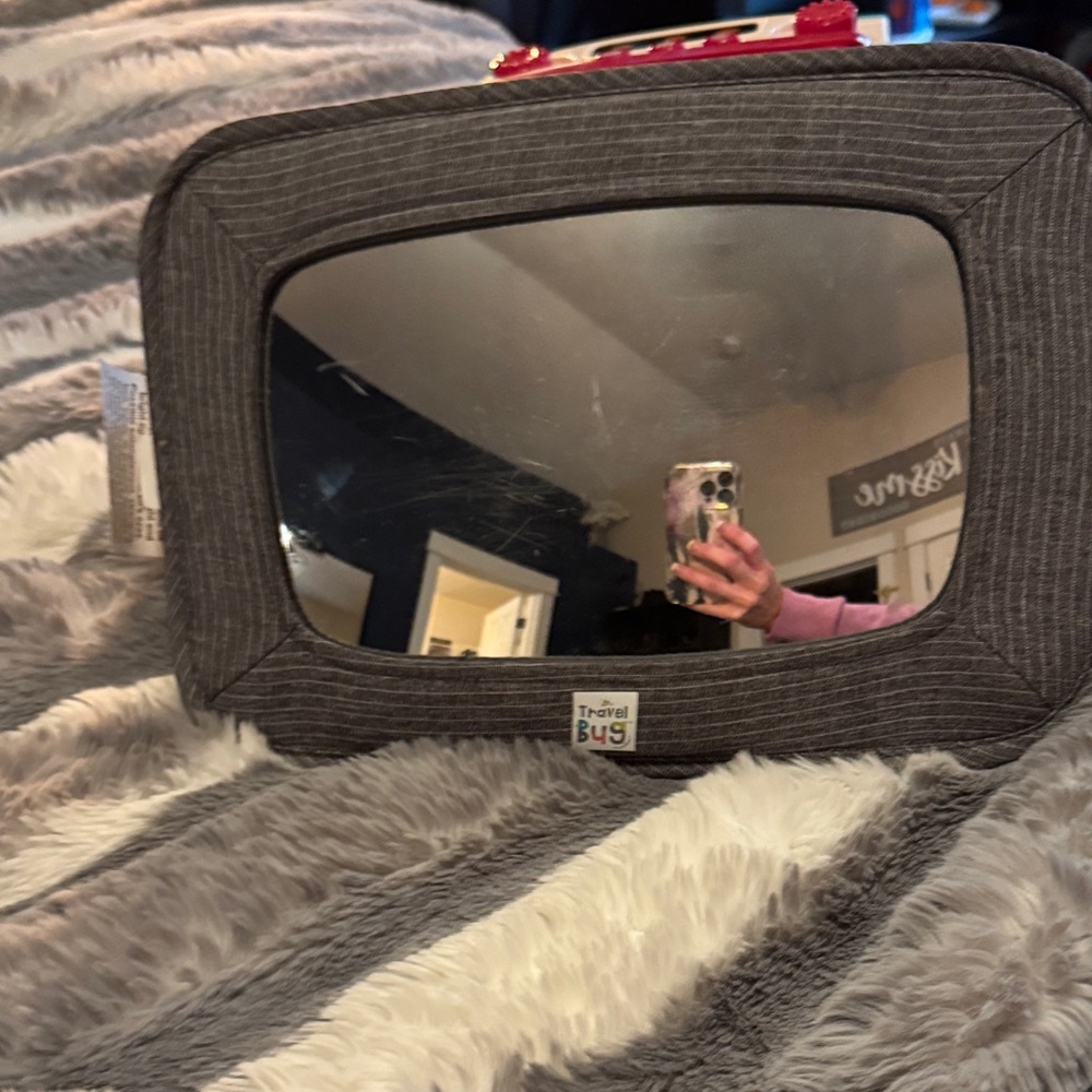 Gray Travel Bug Mirror for baby in car